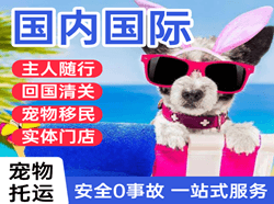 乌海空运地址国际宠物托运 【国